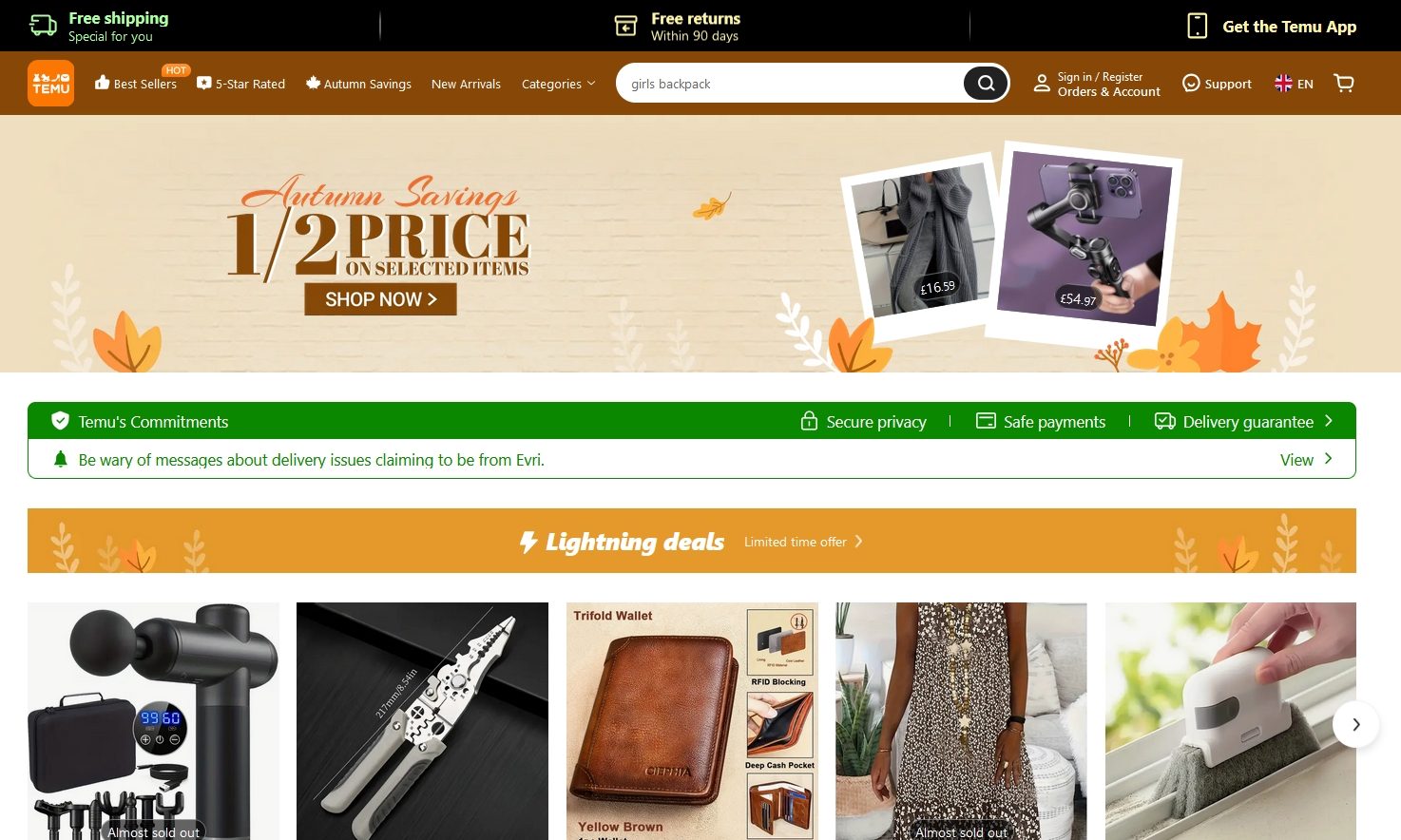Temu web shop